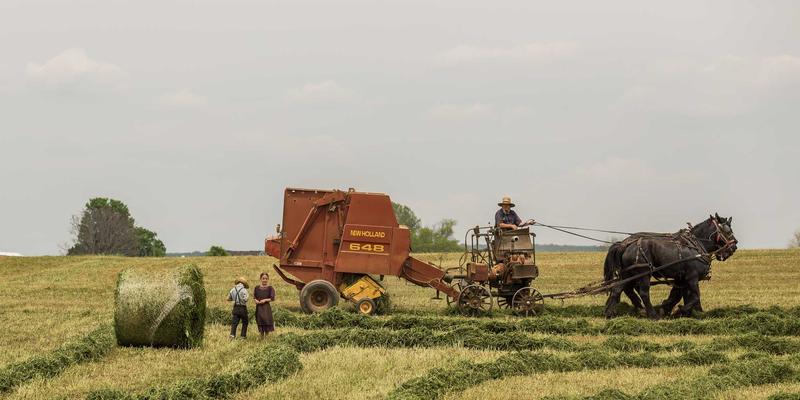 从模具到储能：揭秘电池包壳体与连接片背后的精密制造与安全设计
