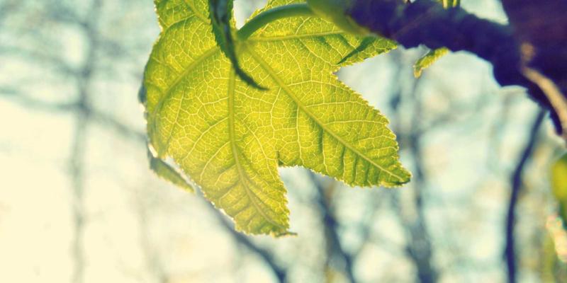 半导体设备腔体核心揭秘：超高真空与等离子环境下，精密五金件如何实现“零缺陷”洁净制造？