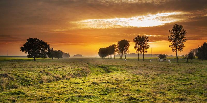 新能源汽车电驱壳体革命:压铸铝合金如何实现导热与电磁屏蔽的双重突破?