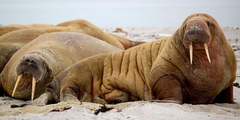 火眼金睛辨五金：从CNC加工、模具加工到压铸模具，三招识破优劣陷阱